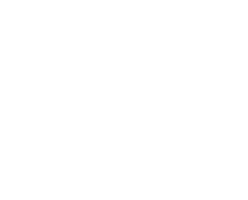 Get Detoxinated — Sabre Hawk logo