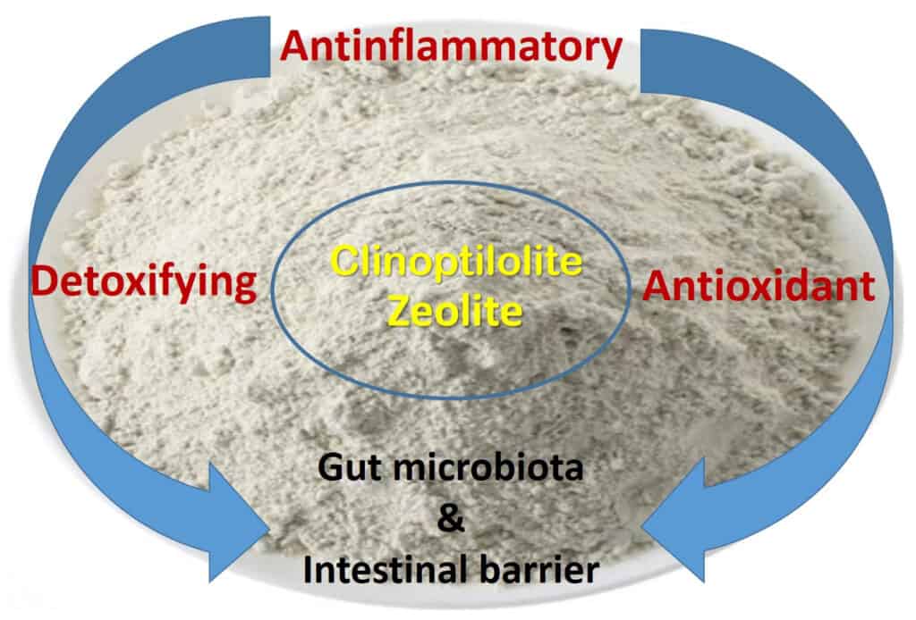 Zeolite Clinoptilolite Is it safe? Get Detoxinated!