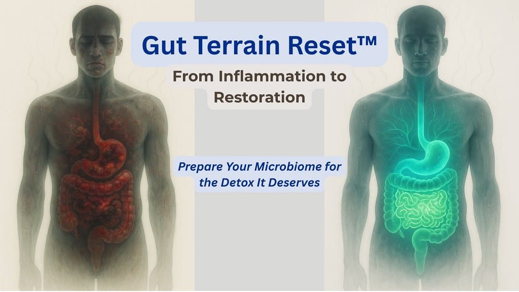 gut terrain reset